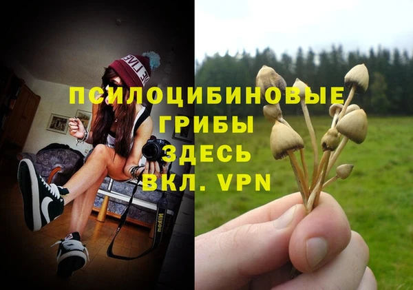 прущая мука Богородицк