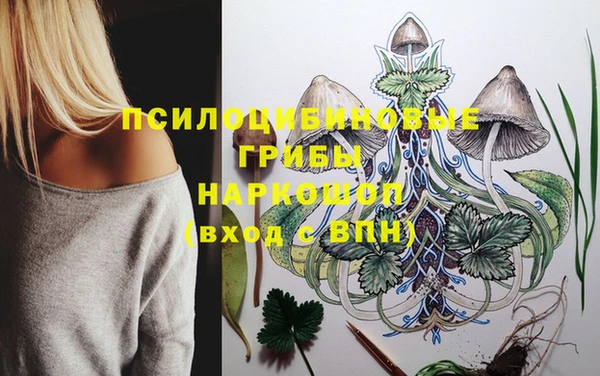 кокаин премиум Белокуриха
