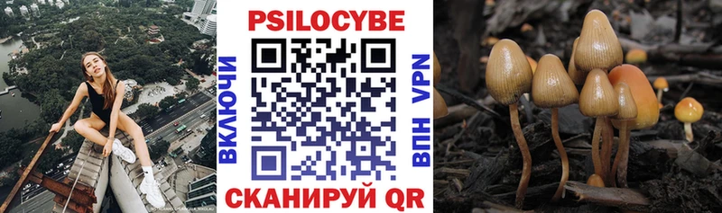 Галлюциногенные грибы Cubensis  Краснотурьинск 